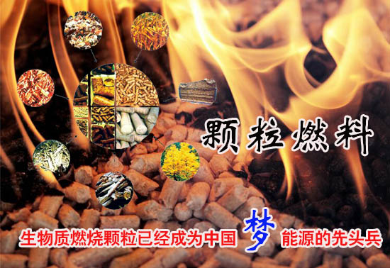 生物質燃料顆粒多少錢一噸！
