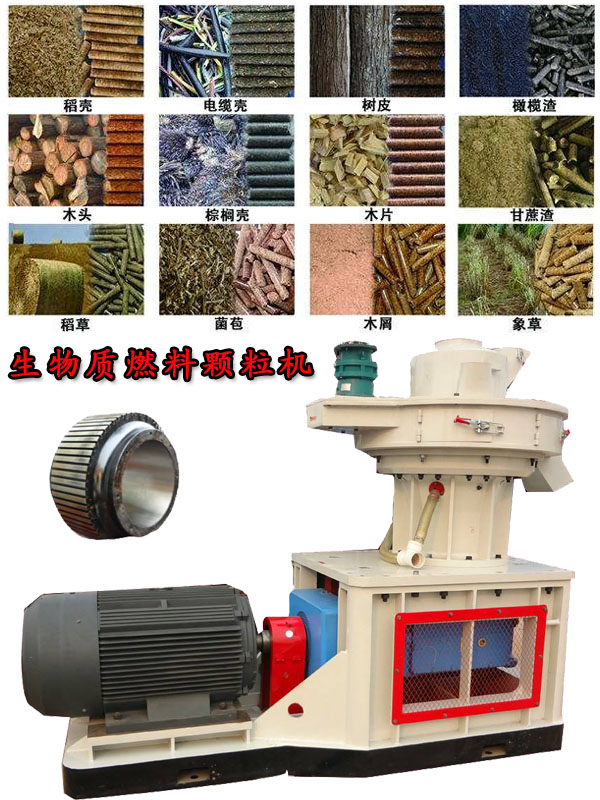 國內外生物質燃料顆粒機應用現(xiàn)狀的疑問！
